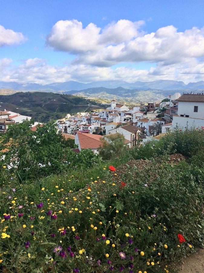 Casa Las Torres B&B Iznate Екстер'єр фото