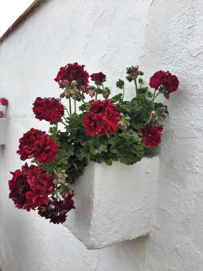 Casa Las Torres B&B Iznate Екстер'єр фото